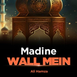 Madine Wall Mein