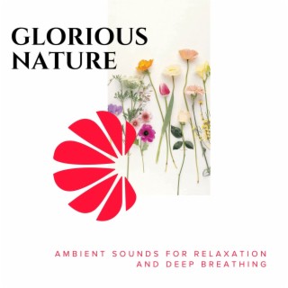 Glorious Nature - Ambient Sounds for Relaxation and Deep Breathing