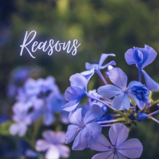 r e a s o n s ft. Bobby Gvld & Champagne Pete lyrics | Boomplay Music