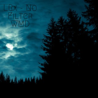 No Filter ft. WMD lyrics | Boomplay Music