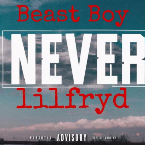 Never ft. Lilfryd | Boomplay Music