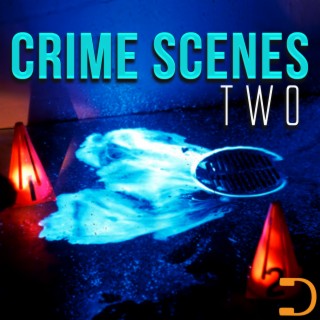 Crime Scenes Two