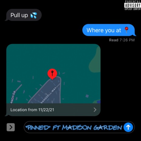 PINNED ft. Madison Garden | Boomplay Music