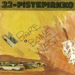 22-Pistepirkko