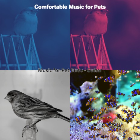 Fantastic Pets | Boomplay Music