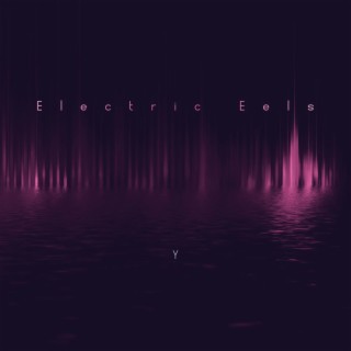Electric Eels lyrics | Boomplay Music