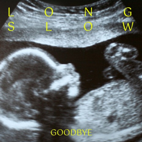 Long Slow Goodbye | Boomplay Music