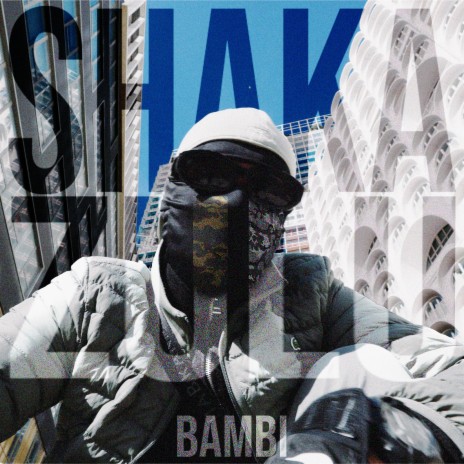 Shaka Zulu | Boomplay Music