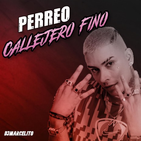Perreo Callejero Fino | Boomplay Music
