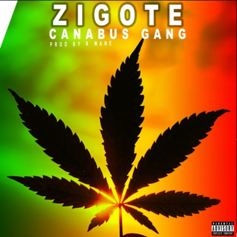 Zigote | Boomplay Music