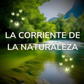 La Corriente de la Naturaleza