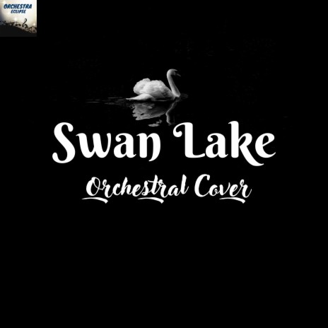 Swan Lake | Boomplay Music