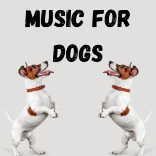 Music For Dogs (Vol.108)
