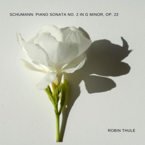 Piano Sonata NO. 2, Op. 22: II. Andantino. Getragen | Boomplay Music