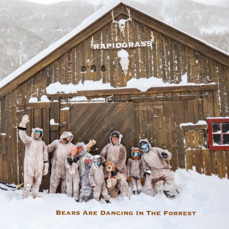 Bears Are Dancing in the Forrest | Boomplay Music