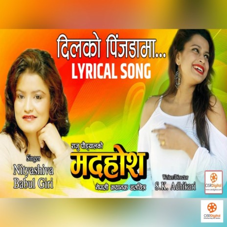 Dilko Pinjada Ma Madahos Movie Song | Boomplay Music