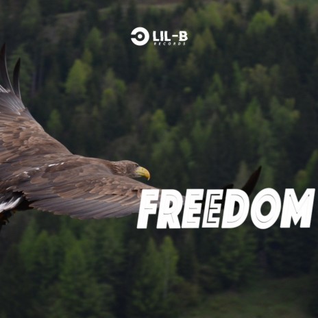 Freedom | Boomplay Music