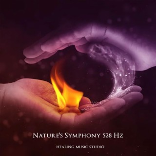 Nature's Symphony 528 Hz (Love and Positive Transformation)