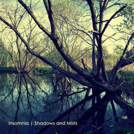 Shadows And Mists | Boomplay Music