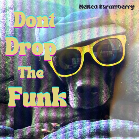 Dont Drop The Funk | Boomplay Music