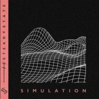 Simulation