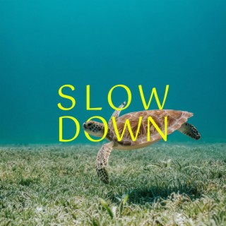 Slow Down