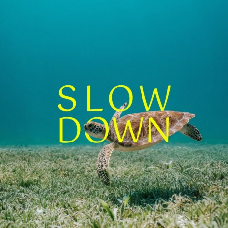 Slow Down | Boomplay Music