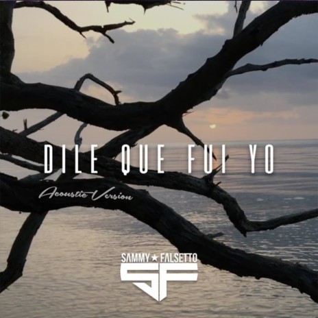 Dile Que Fui Yo (Acoustic Version) | Boomplay Music