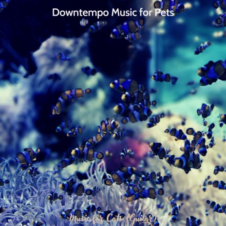Superlative Music for Cats