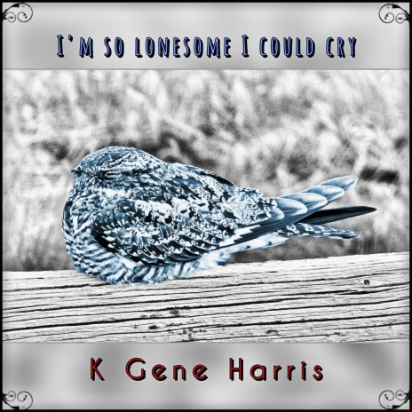 I'm So Lonesome I Could Cry | Boomplay Music