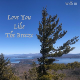 Love You Like The Breeze