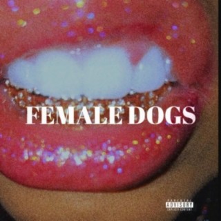 Female Dogs