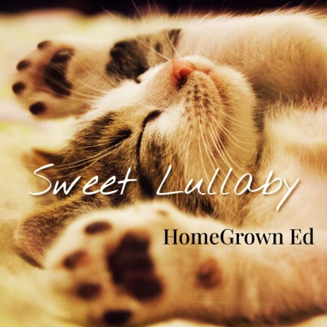 Sweet Lullaby | Boomplay Music