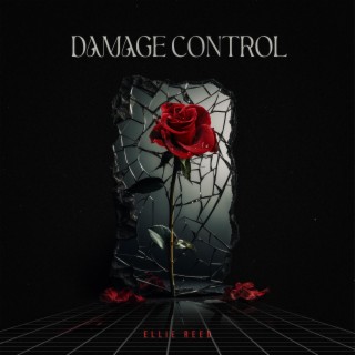 Damage Control lyrics | Boomplay Music