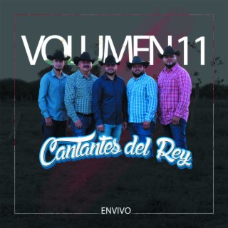 Volumen 11 (En Vivo)