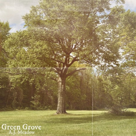 Green Grove | Boomplay Music
