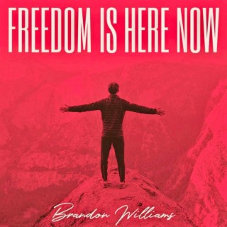 Freedom Is Here Now lyrics | Boomplay Music