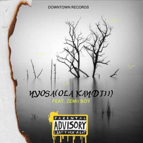 Nyosa (Ola Kandji) ft. Zemii Boy | Boomplay Music