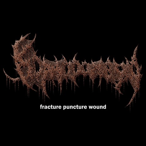 Fracture Puncture Wound