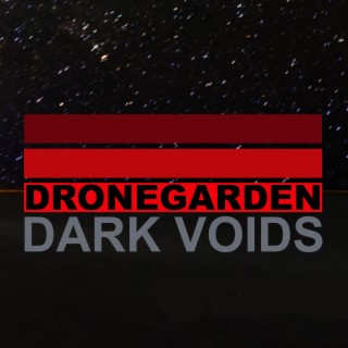 Dark Voids