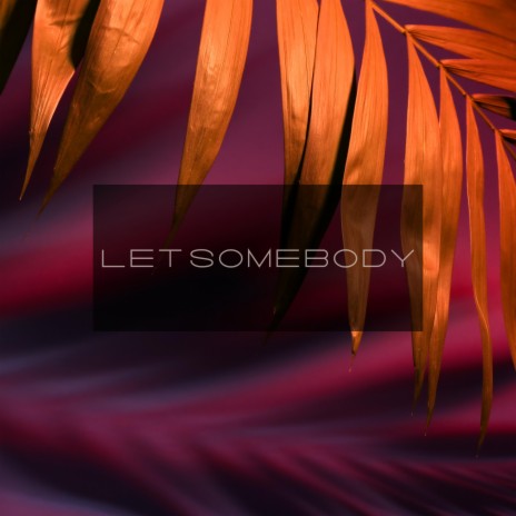 Let Somebody | Boomplay Music