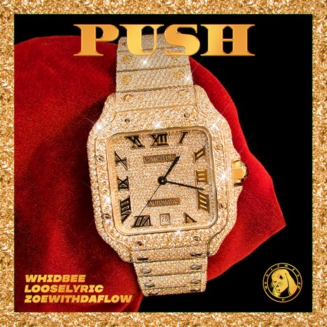 PUSH ft. Looselyric & Zoewithdaflow | Boomplay Music