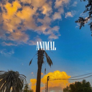 Animal (Remastered)
