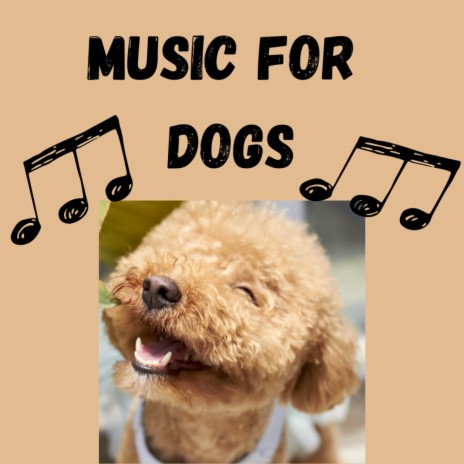 No More Stress ft. Relaxing Puppy Music, Calm Pets Music Academy & Music For Dogs | Boomplay Music