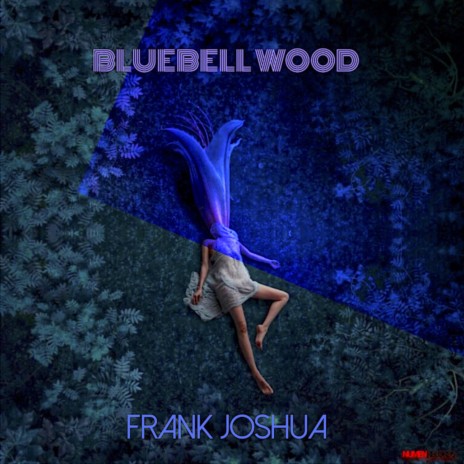 Bluebell Wood (Instrumental)