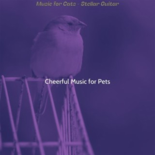 Music for Cats - Stellar Guitar