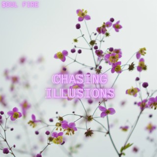 Chasing Illusions