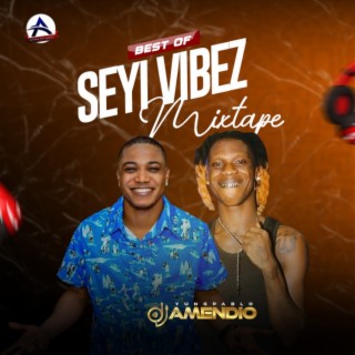 Best Of Seyi Vibez (Mixtape)