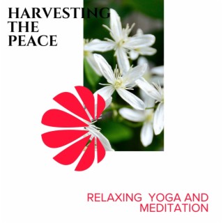 Harvesting the Peace - Relaxing Yoga and Meditation