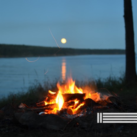 Bosque ft. Sonidos De Chimenea & Zona de Sonidos de la Naturaleza | Boomplay Music